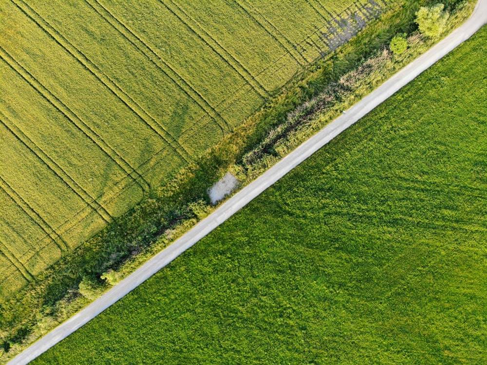 Aerial shot of a country road with lush green fields on either side